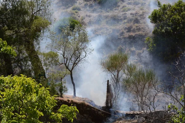 Yaz yangın, Güney İtalya