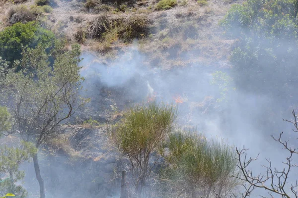 Yaz yangın, Güney İtalya