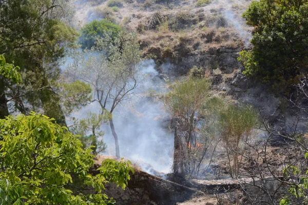 Yaz yangın, Güney İtalya