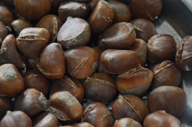 CASTAGNE ARROSTİTESİ, CAMPANYA, SUD İTALYA.