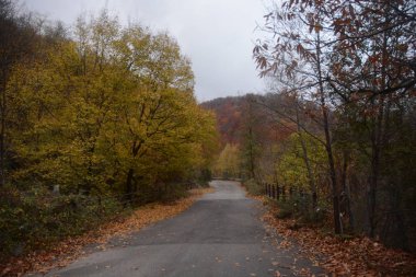 PaESAGGIO MONTANO INVERNALE, CAMPANIA, SUD İTALYA.