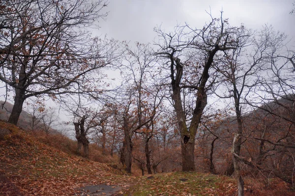 Paesaggio Montano Invernale Kampánia Olaszország — Stock Fotó