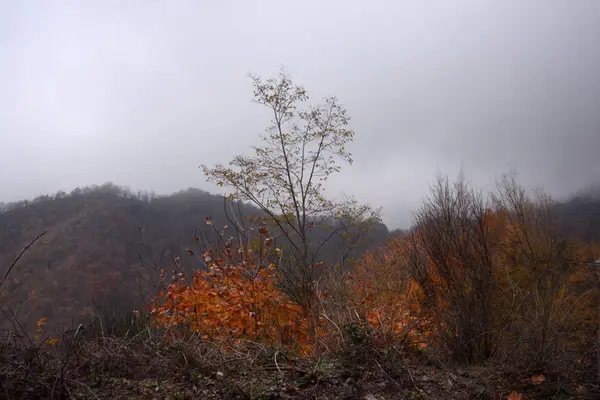 Paesaggio Montano Invernale Kampánia Olaszország — Stock Fotó