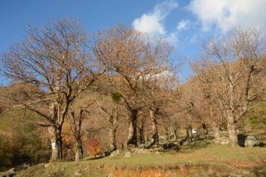 PaESAGGIO MONTANO INVERNALE, CAMPANIA, SUD İTALYA.