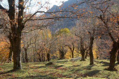 PaESAGGIO MONTANO INVERNALE, CAMPANIA, SUD İTALYA.