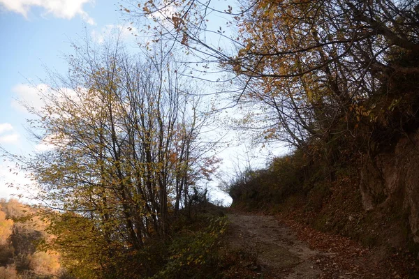 Paesaggio Montano Invernale Campania Sud Italia — Foto Stock