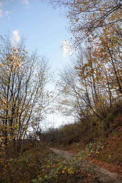 Paesaggio Montano Invernale Campania Sud Italië — Stockfoto