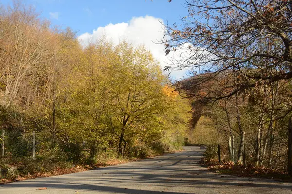 Paesaggio Montano Invernale Campania Sud Italia — Zdjęcie stockowe