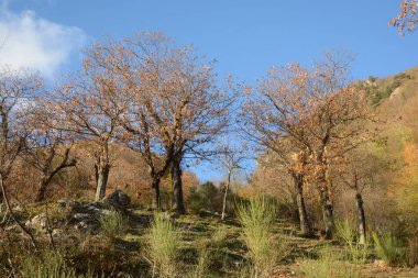 PaESAGGIO MONTANO INVERNALE, CAMPANIA, SUD İTALYA.