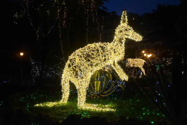 Luci Artista Salerno Sud Italia — Stock fotografie