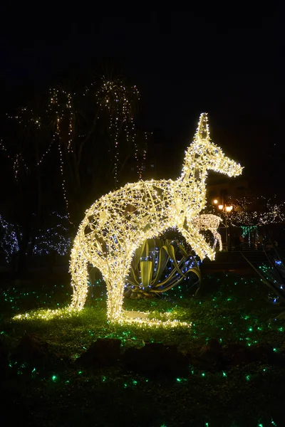 Luci Artista Salerno Sud Italia — Stock fotografie