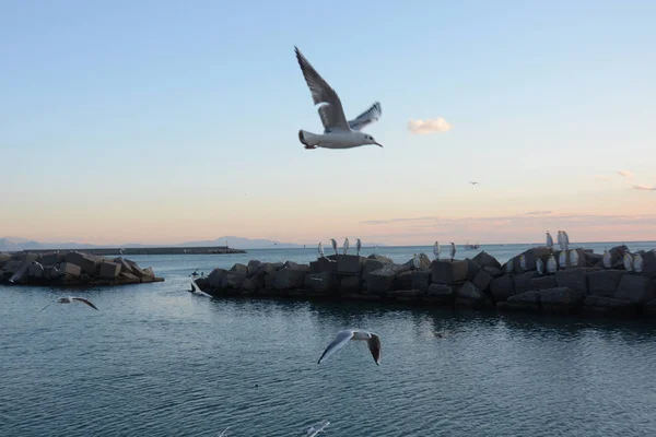 サレルノのイタリア 海の風景 — ストック写真