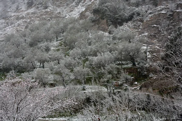 Paesaggio Invernale Sud Italia — Foto Stock