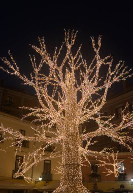 İtalya: The Luci d 'Artista, Salerno' da Noel Işıkları Şovu, 15 Aralık 2019.