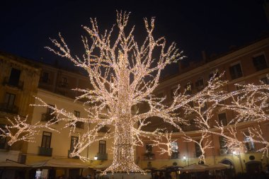 İtalya: The Luci d 'Artista, Salerno' da Noel Işıkları Şovu, 15 Aralık 2019.