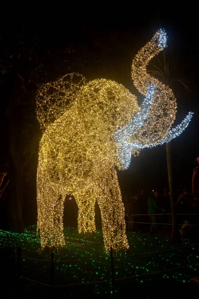 Itálie Luci Artista Vánoční Osvětlení Salernu Prosince 2019 — Stock fotografie