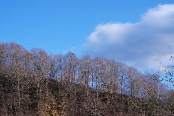 Italië Berglandschap Campanië Maart 2020 — Stockfoto