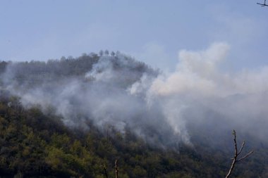 İtalya: Giffoni Valle Piana 'da dağ yangını, 9 Nisan 2020.