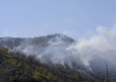 İtalya: Giffoni Valle Piana 'da dağ yangını, 9 Nisan 2020.