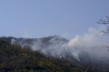 İtalya: Giffoni Valle Piana 'da dağ yangını, 9 Nisan 2020.