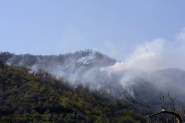 İtalya: Giffoni Valle Piana 'da dağ yangını, 9 Nisan 2020.