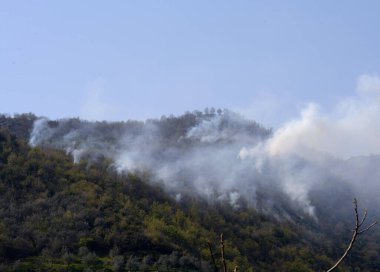 İtalya: Giffoni Valle Piana 'da dağ yangını, 9 Nisan 2020.