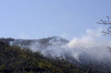 İtalya: Giffoni Valle Piana 'da dağ yangını, 9 Nisan 2020.