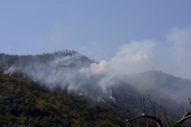 İtalya: Giffoni Valle Piana 'da dağ yangını, 9 Nisan 2020.