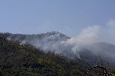 İtalya: Giffoni Valle Piana 'da dağ yangını, 9 Nisan 2020.