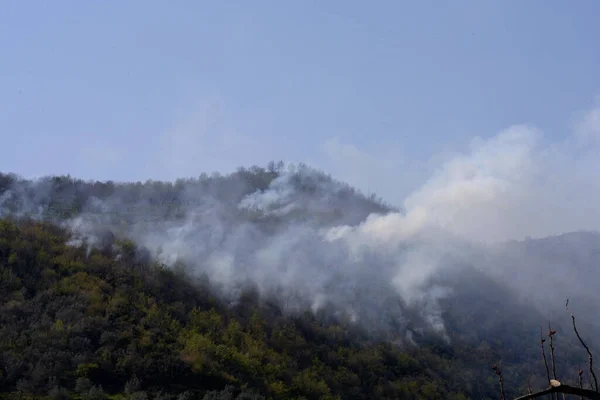 İtalya: Giffoni Valle Piana 'da dağ yangını, 9 Nisan 2020.