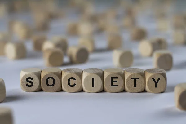 Cubo da sociedade com letras, sinal com cubos de madeira — Fotografia de Stock