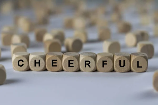 Cubo alegre com letras, sinal com cubos de madeira — Fotografia de Stock