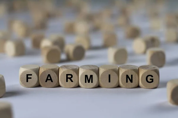 Jordbruk kub med brev, signera med trä kuber — Stockfoto