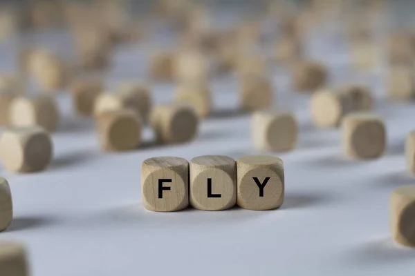 Cubo de mosca com letras, sinal com cubos de madeira — Fotografia de Stock