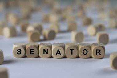 Senatör küp harflerle, tahta küpleri ile kayıt