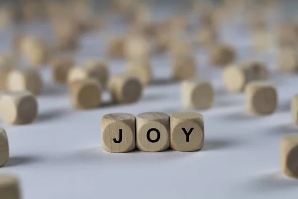 Cubo de alegria com letras, sinal com cubos de madeira — Fotografia de Stock