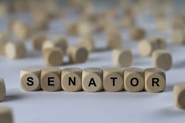 Senador cubo com letras, sinal com cubos de madeira — Fotografia de Stock