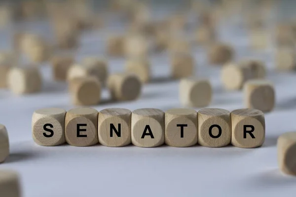 Cubo senador con letras, signo con cubos de madera — Foto de Stock