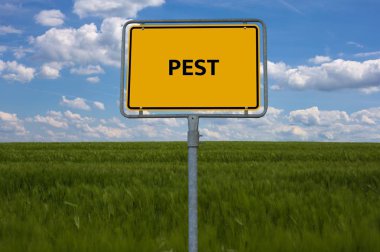 Pest - görüntü kelimelerle ilişkili konu salgın, word bulut, küp, mektup, resim, illüstrasyon ile