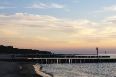 Deniz kıyısının görünümü