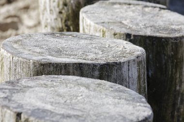 Kalın ahşap direklerin hafifçe kum ile duş