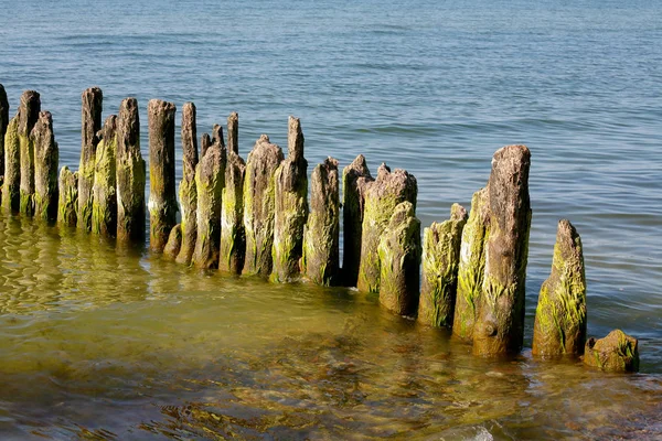 Ahşap direklerin deniz dibinin dışarı sopa