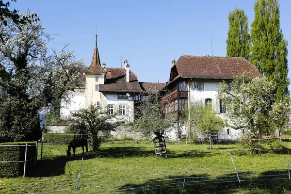 Wittigkofen paleis in Murifeld district van Bern — Stockfoto