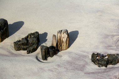 Ahşap dalgakıranlar kalıntıları