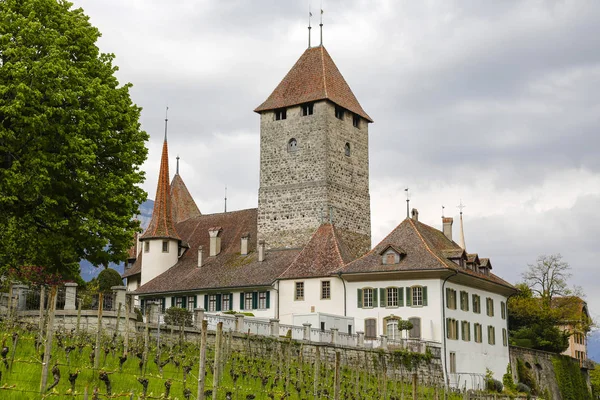 Château Spiez sur une colline — Photo