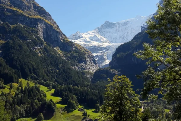 Alpine bergen bereik gezien vanaf Grindelwald — Stockfoto