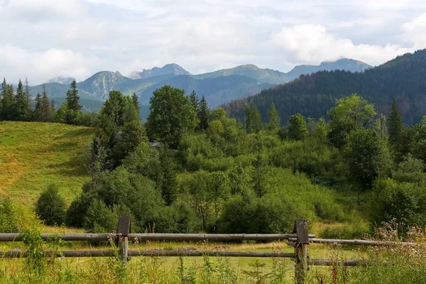 Tatras and wooded land and meadows with Zakopane — Stock Photo, Image