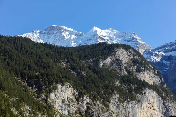 De besneeuwde toppen en bos bedekt Alpine pieken — Stockfoto