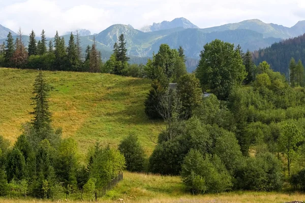 Áreas arborizadas e prados e montanhas — Fotografia de Stock