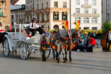 Krakow 'da at arabaları